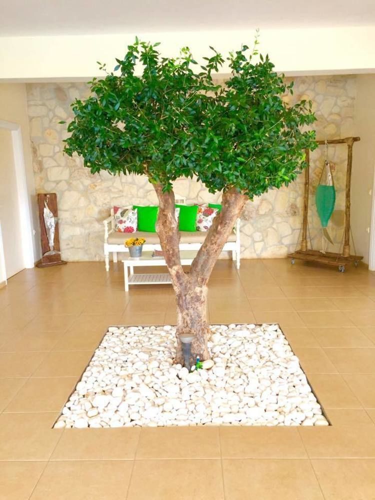 Ammos Boutique Apartments & Suites Malia Esterno foto